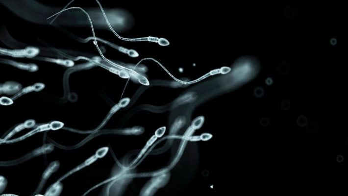 What Happens to My Sperm After a Vasectomy?